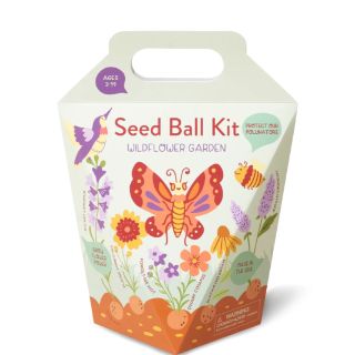 Modern Sprout Wildflower Seed Ball Kit