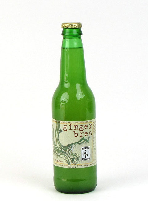 Maine Root Ginger Brew