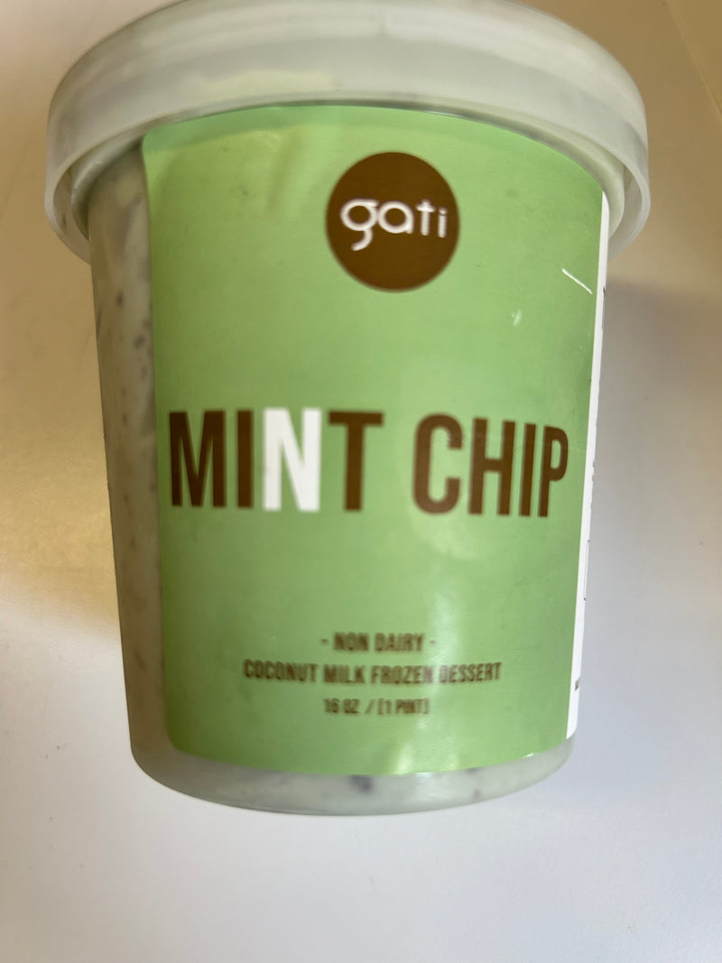 Gati Vegan Ice Cream Mint Chip