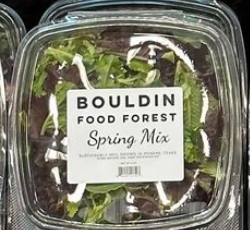 Bouldin Food Forest - Spring Mix