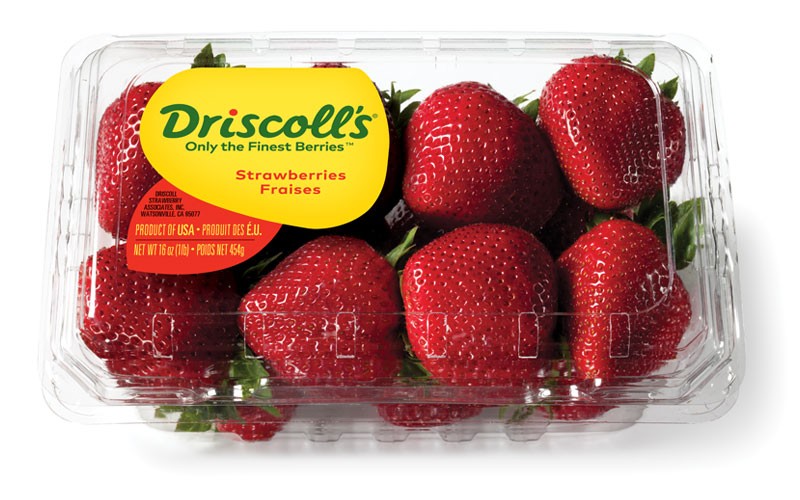 Fresh Strawberries 16oz